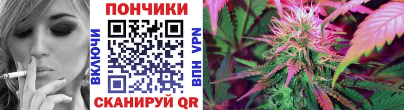 Купить где  Дно  Бошки Шишки гибрид 